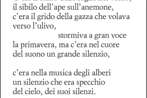 Copertina libro Convito delle Stagioni