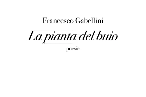 Libri da queste parti 2025 - la pianta nel buio