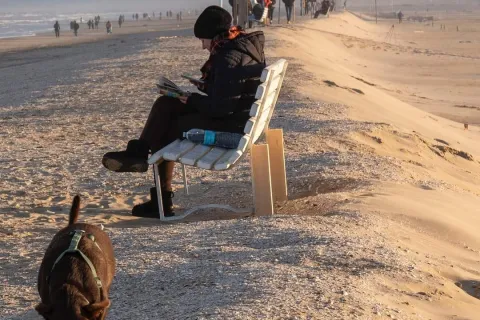 Dalle aree archeologiche all'arte che si affaccia sulle dune in spiaggia: tutte le proposte per scoprire Rimini