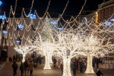 Alberi di luci piazza cavour