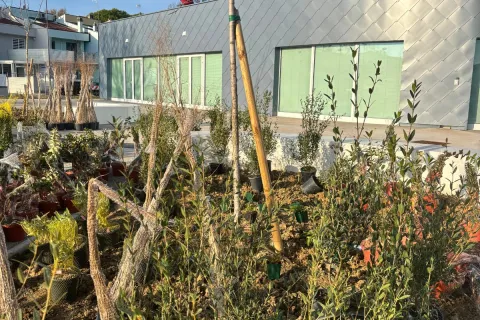 nuova piscina viserba