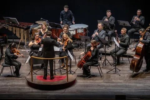 Wunderkammer DSC_1608-Enhanced-NR 