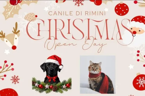 locandina open day canile stefano cerni 13 dic 25