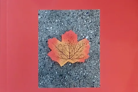 Libor Lorenzo Scarponi