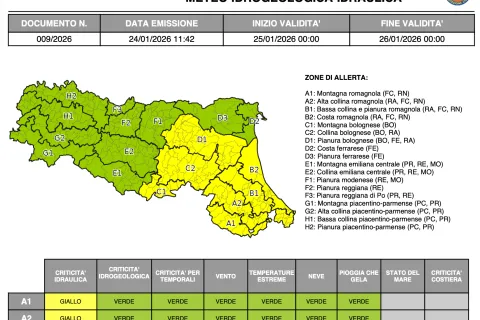 allerta009_2026