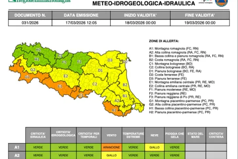 allerta 031/2026