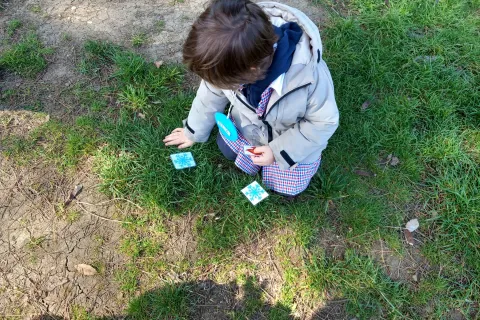 ceas citta comunità