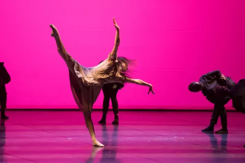 in un vortice di polvere ©RolandoPaoloGuerzoni