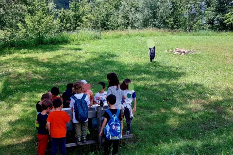 outdoor education rimini