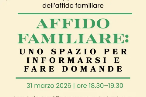 webinar affido marzo 2026 