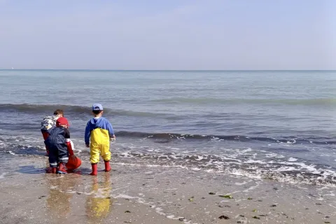 Rotte Educative Blu rimini blue lab 2026