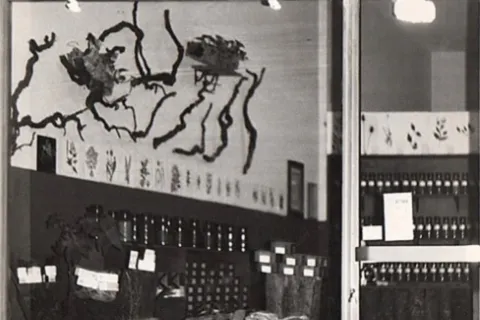 Erboristeria Stagnozzi