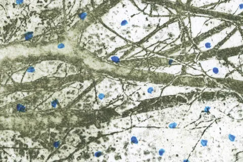 libri da queste parti 16 aprile 2026