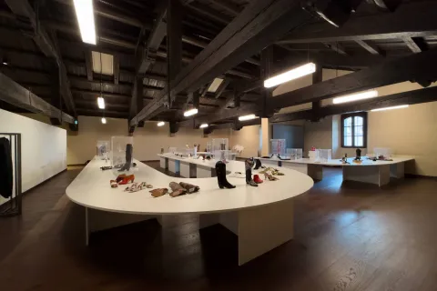 Riviera Dream Vision 