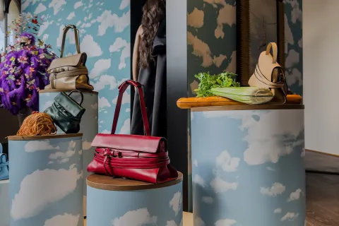 Riviera Dream Vision