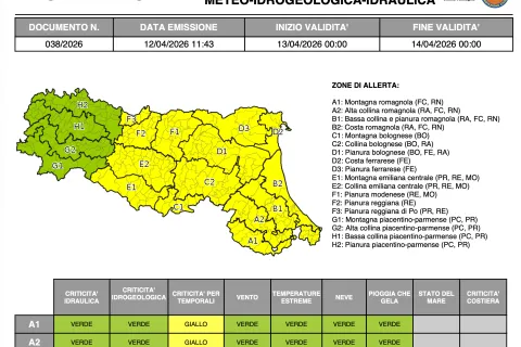allerta meteo 38/2026 