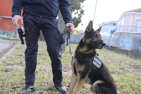 unità cinofila mercato coperto