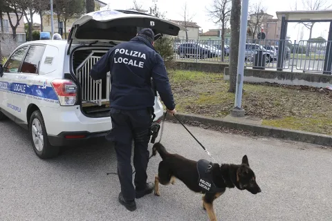 unità cinofila mercato coperto