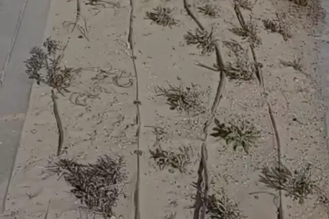 atto vandalico tratto 7 lungomare