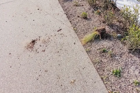 atto vandalico tratto 7 lungomare