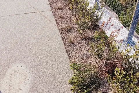 atto vandalico tratto 7 lungomare