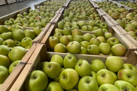 frutta e verdura al CAAR