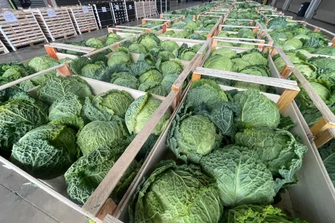 frutta e verdura al CAAR