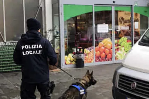 unità cinofila mercato coperto