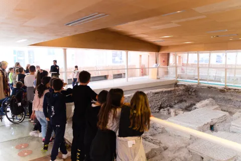Domus del Chirurgo