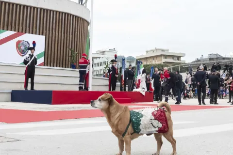 Raduno Carabinieri 2026 #1