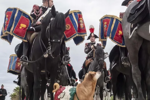 Raduno Carabinieri 2026 #2