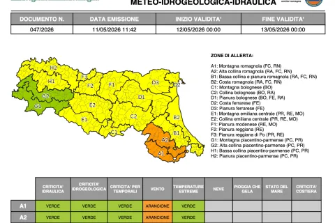 allerta 047/2026