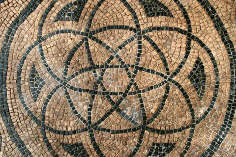 domus del chirurgo