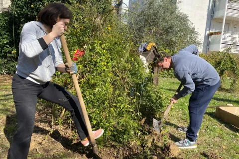 il labirinto fiorito -  Giardiniere civiche 