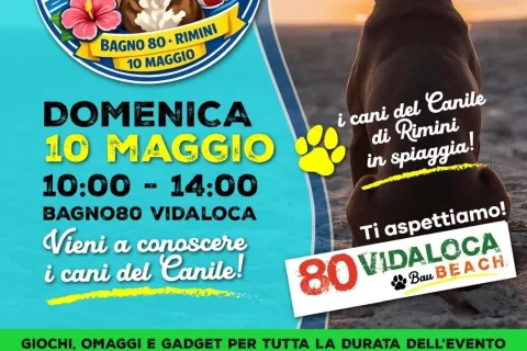 locandina onde di adozione