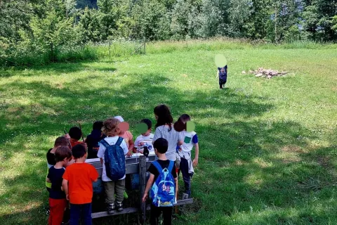 Immagine di archivio del campeggio a Badia Tedalda