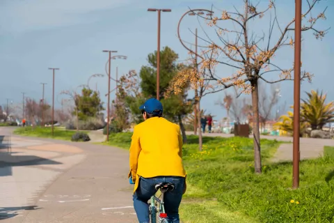 Velo city 2026