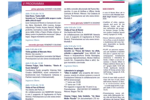 Biennale del mare locandina