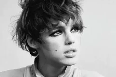 Manifesto Edie