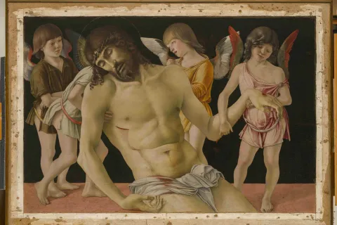 Bellini (