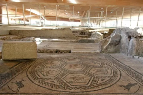 Domus del Chirurgo