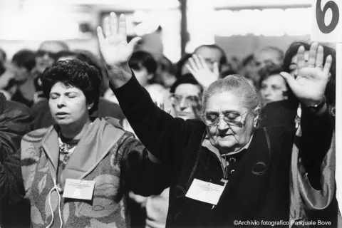 Mostra_Bove_Cronaca_La_citta