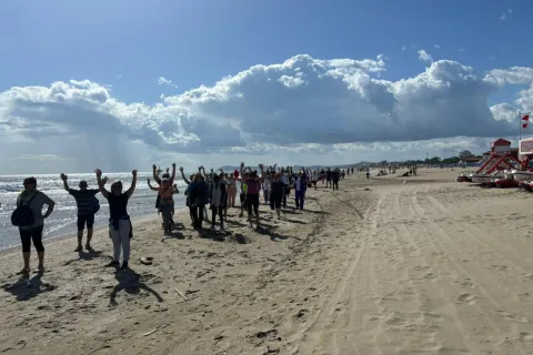 Wellness Walking