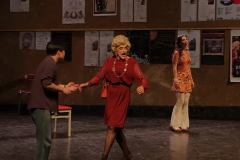 Le convenienze ed inconvenienze teatrali, brillante opera comica di Gaetano Donizetti 