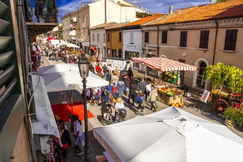 Festa del Borgo Sant'Andrea