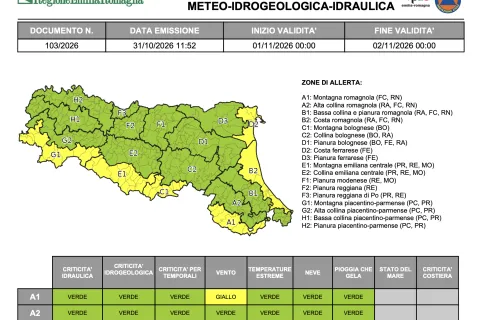 allerta 103/2026