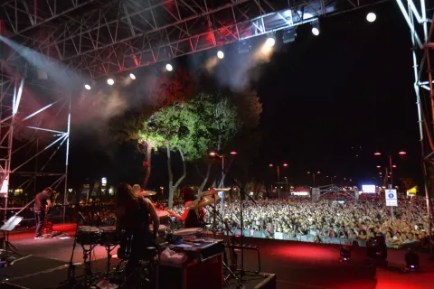 3apt_notte_rosa_2016_pubblico_ric7011.jpg