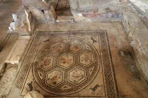 5domus_del_chirurgo_02_2.jpg