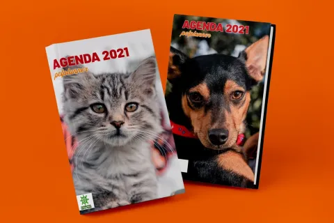 agenda_cerni_21.jpg