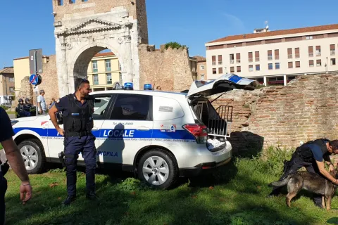 ancora_in_azione_iago_e_bruce.jpg